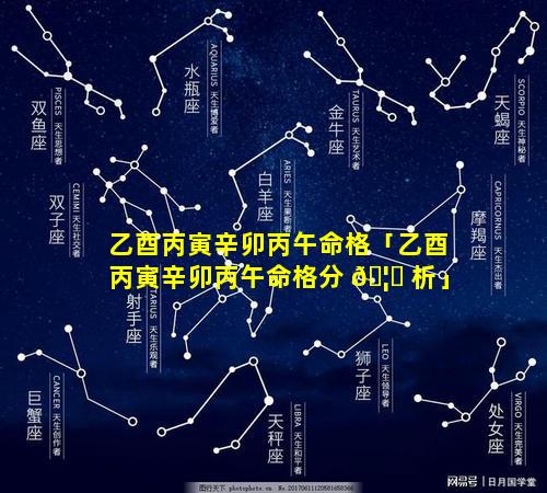 乙酉丙寅辛卯丙午命格「乙酉丙寅辛卯丙午命格分 🦄 析」